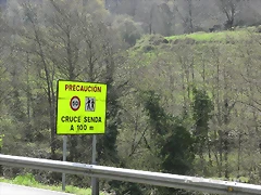 R0012406 R0012406