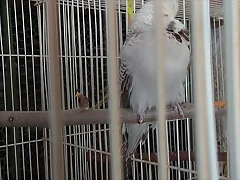 IMG-20180423-WA0031 IMG-20180423-WA0031