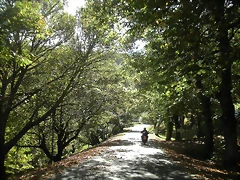 DSCN0079 DSCN0079