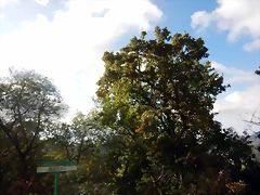 DSCN1218 DSCN1218