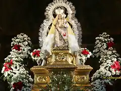 03, la virgen, marca