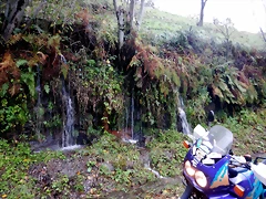 DSCN2936 DSCN2936