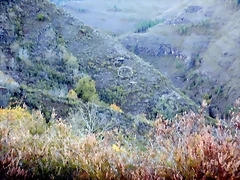 DSCN0039 DSCN0039