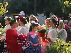 15, ofrenda de flores, marca