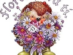 images (1)