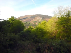 DSCN2090 DSCN2090