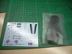 DSCN2831 DSCN2831