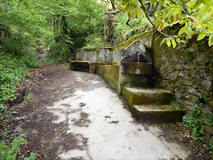 DSCN0587 DSCN0587