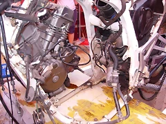 transplante de motor- (40) transplante de motor- (40)