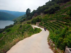 DSCN6266 DSCN6266
