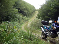 IMG_0244 IMG_0244