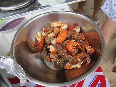 IMG_0101 IMG_0101