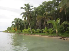IMG_0105 IMG_0105