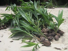 IMG_0111 IMG_0111