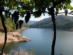 DSCN7561 DSCN7561