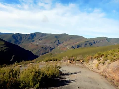 DSCN0154 DSCN0154