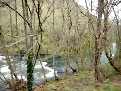 DSCN3678 DSCN3678