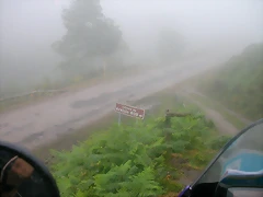 DSCN3959 DSCN3959