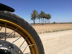 IMG_20210627_114955 IMG_20210627_114955