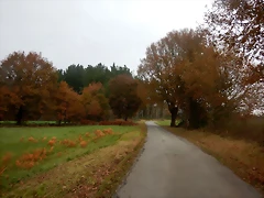 DSCN3083 DSCN3083