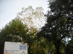 DSCN9853 DSCN9853