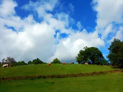 DSCN5217