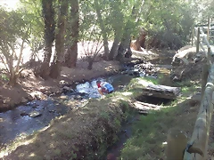 DSCF0021 DSCF0021