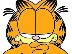 garfield staring sarcastically