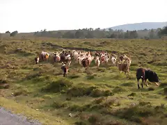 reglaje 043 reglaje 043