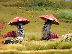 shroom_grande