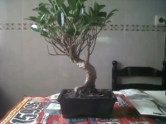 IMG00180-20120520-1332