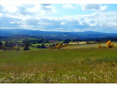 DSCN5181 DSCN5181