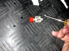 DSCN2974 DSCN2974