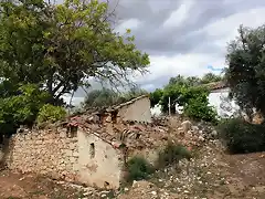 cortijo desde el olivar