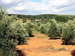 el charconero de lejos