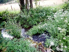 DSCN4585 DSCN4585