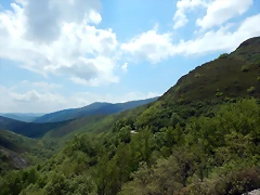 DSCN1137 DSCN1137