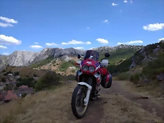 40