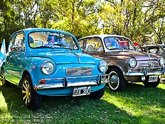 DSC_6635 DSC_6635