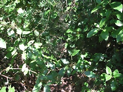 PICT0072