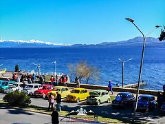 CAS_3859 CAS_3859