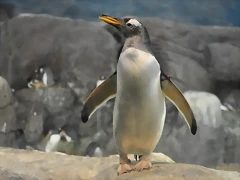 PINGUINO JUANITO 3