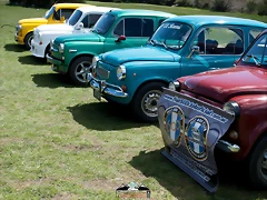 CAS_3736 CAS_3736