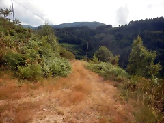 DSCN4386 DSCN4386
