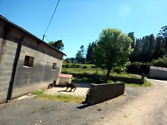 DSCN2335 DSCN2335