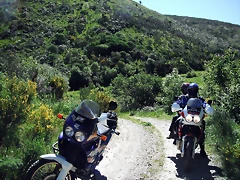 DSCF2483 DSCF2483