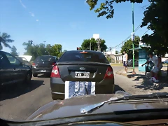 P1060677 P1060677