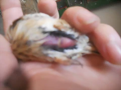 DSCN9756