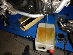 DSCN5724 DSCN5724