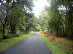 DSCN8391 DSCN8391